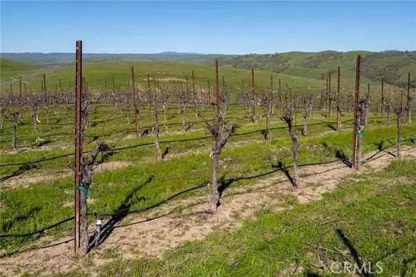 Paso Robles, CA 93451,5790 Hog Canyon