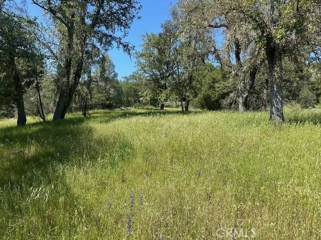 74620 Copperhead, Bradley, CA 93426