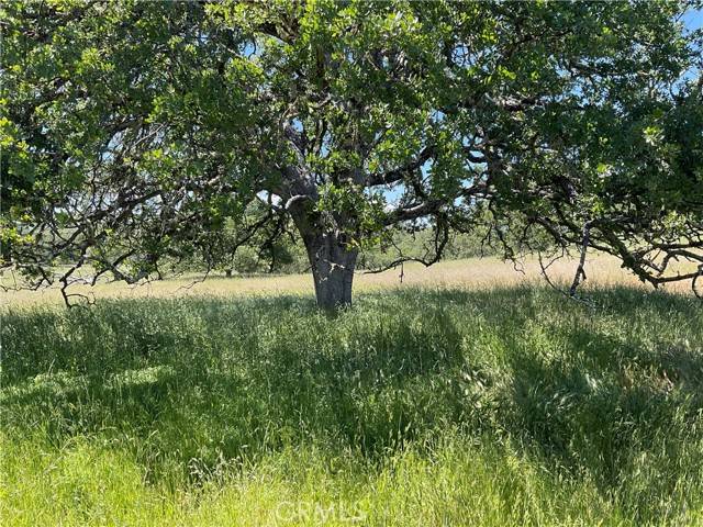Bradley, CA 93426,2 Interlake