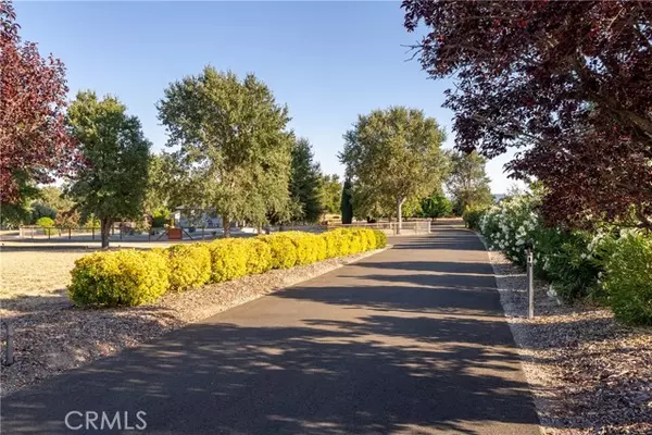 Paso Robles, CA 93446,805 Golden Meadow Drive