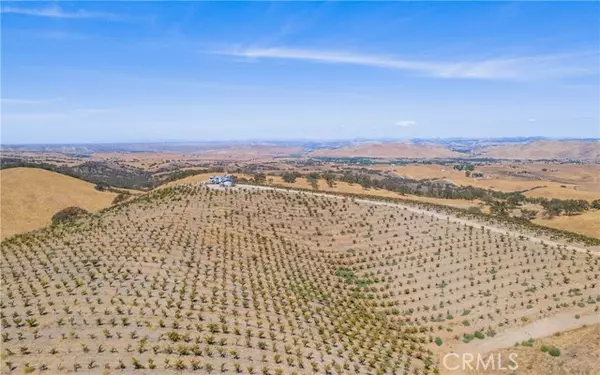 Paso Robles, CA 93446,20 Nonpariel