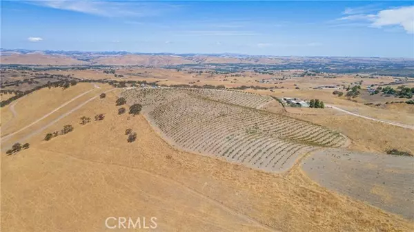 Paso Robles, CA 93446,20 Nonpariel