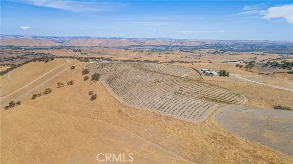 Paso Robles, CA 93446,20 Nonpariel