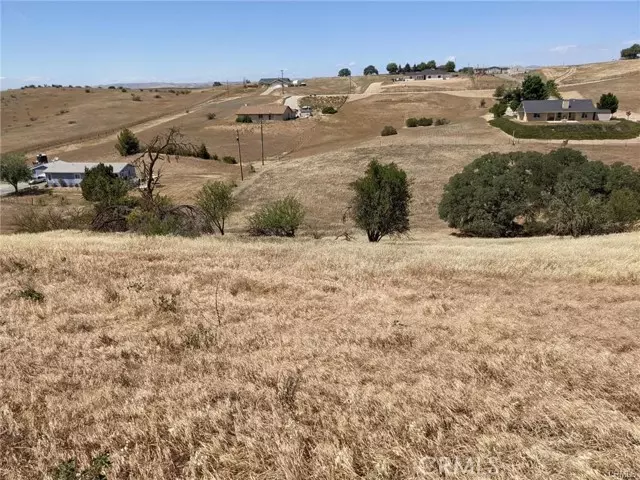 Paso Robles, CA 93446,0 Prancing Deer