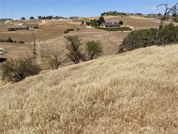 Paso Robles, CA 93446,0 Prancing Deer