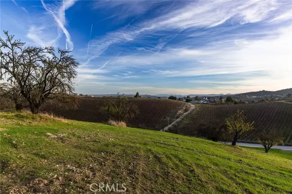 Paso Robles, CA 93446,0 Caballo