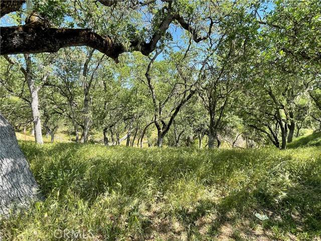2532 Anchor, Bradley, CA 93426