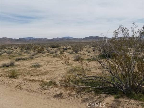 Lucerne Valley, CA 92635,34558 Cattleman