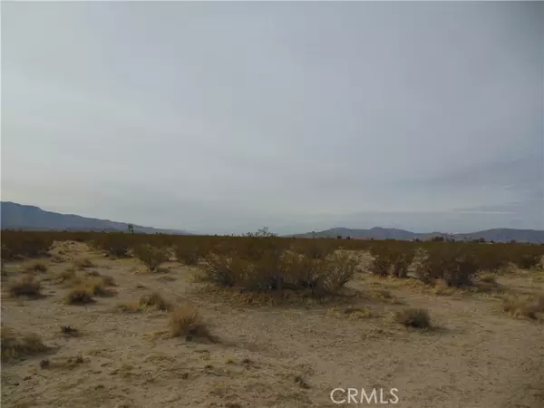 Lucerne Valley, CA 92356,449 Joshua