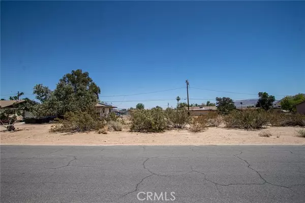 29 Palms, CA 92277,0 Daisey