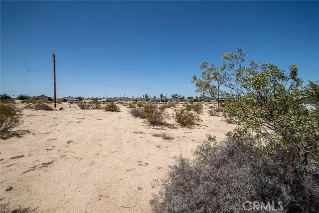 29 Palms, CA 92277,3 Buena Vista