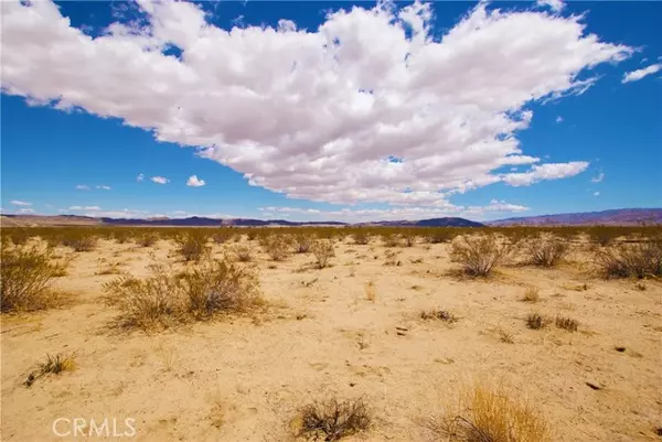 Joshua Tree, CA 92252,4725 La Ferney