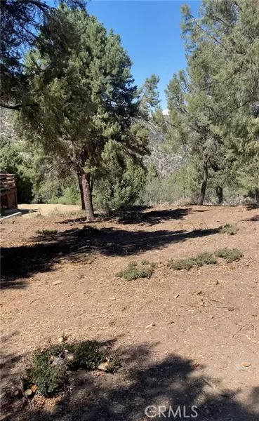 2217 St Bernard, Pine Mountain Club, CA 93225