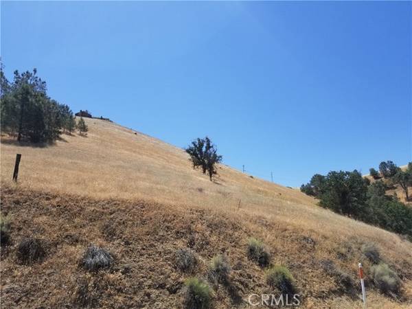 Golden Hills, CA 93561,22215009 Woodford-Tehachapi