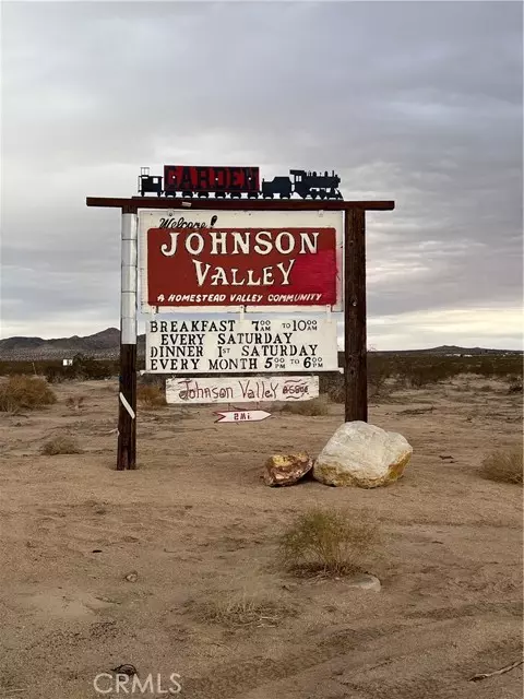 Johnson Valley, CA 92285,1 Ocotillo