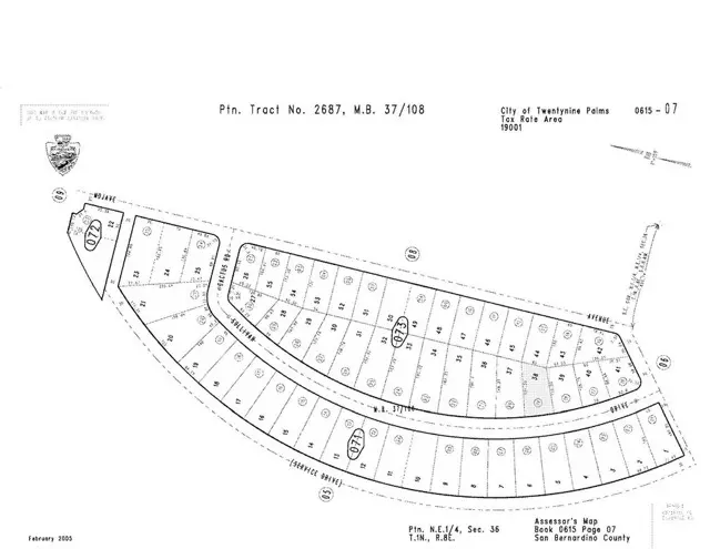 29 Palms, CA 92277,7319 Lupine