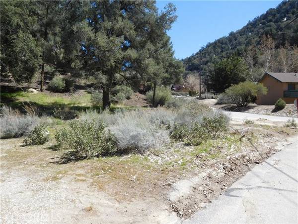 Pine Mountain Club, CA 93222,15009 Geneva