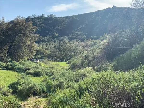 Trabuco Canyon, CA 92679,30295 Hunky Dory