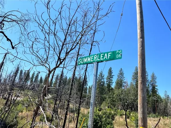 Berry Creek, CA 95916,5 Summerleaf