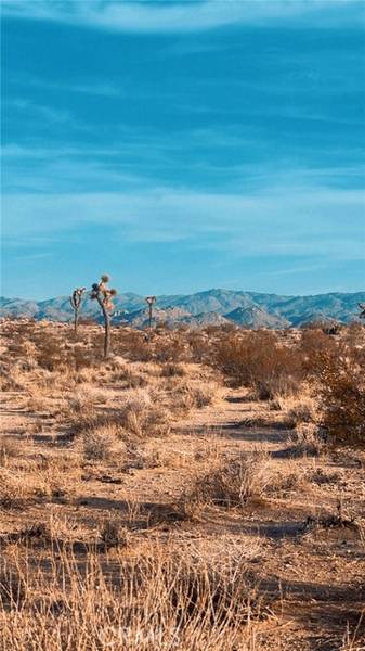 0 Cielito, Joshua Tree, CA 92252