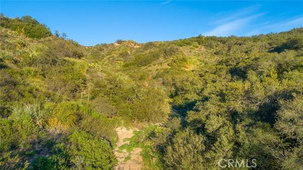 Trabuco Canyon, CA 92679,20061 Summit Trail