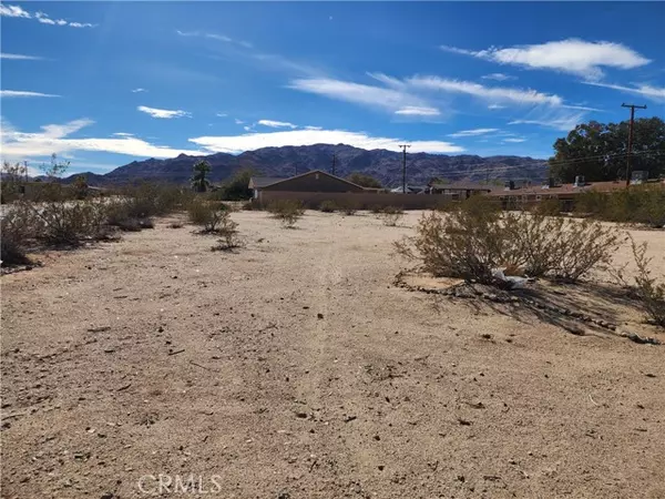 29 Palms, CA 92277,0 Smoke Tree