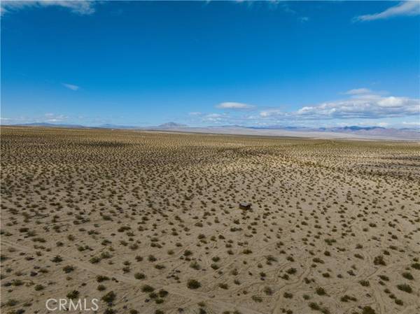 Joshua Tree, CA 92252,5 Tortoise