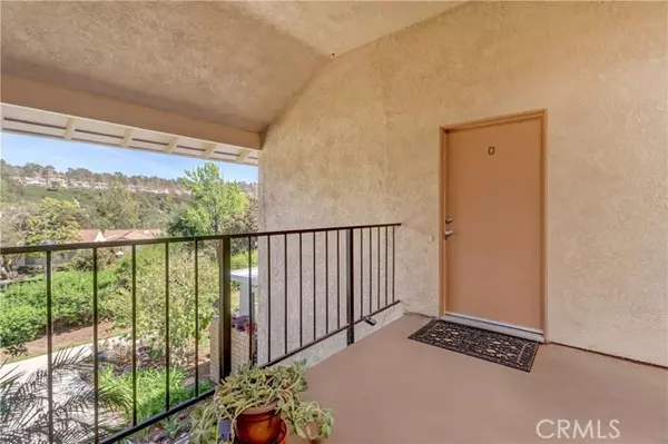 Laguna Woods, CA 92637,3249 San Amadeo #O