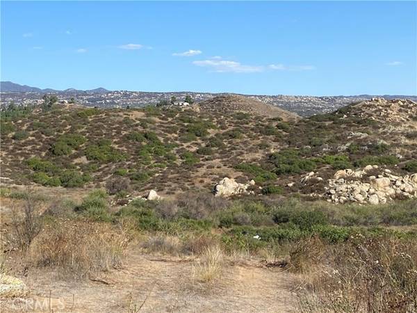 Hemet, CA 92544,10 Gray Squirrel Lot 10