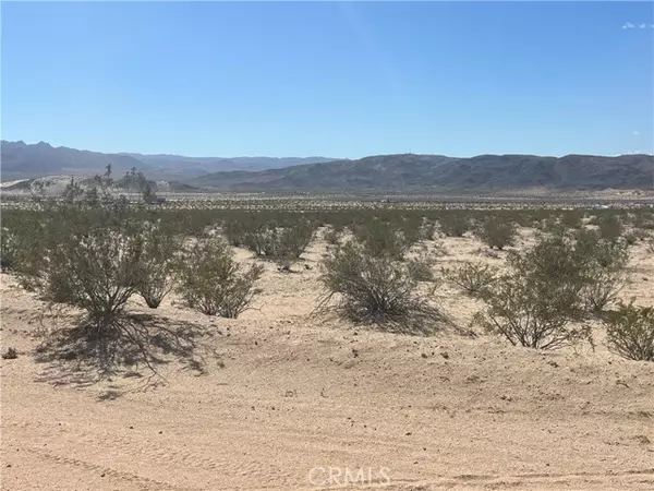 29 Palms, CA 92277,0 Pampas