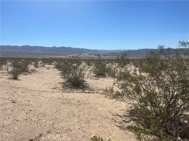 0 Pampas, 29 Palms, CA 92277