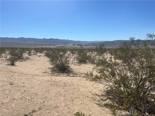 0 Pampas, 29 Palms, CA 92277