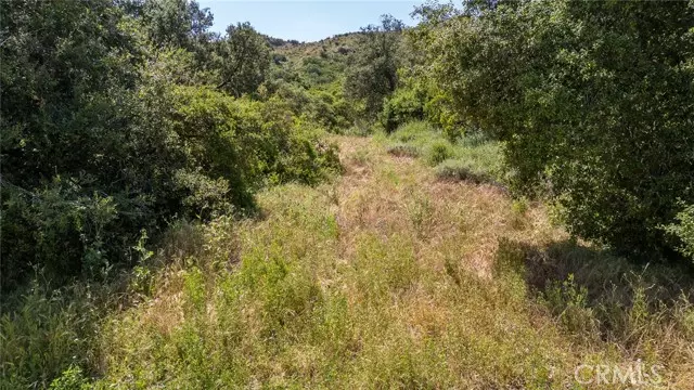 Trabuco Canyon, CA 92678,0 Danielle Lane