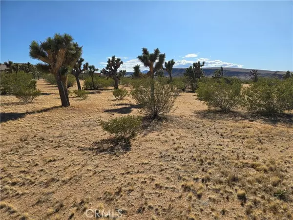 0 Long View, Yucca Valley, CA 92284