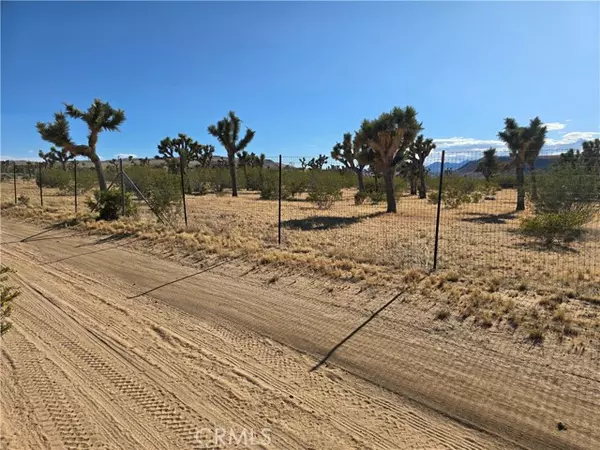 Yucca Valley, CA 92284,0 Long View