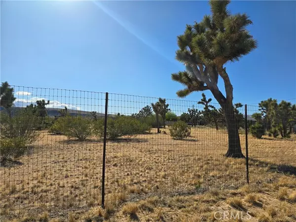 Yucca Valley, CA 92284,0 Long View