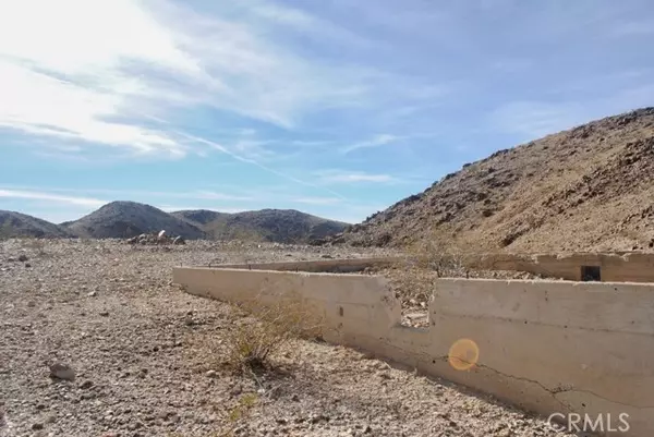 29 Palms, CA 92277,0 Doberman