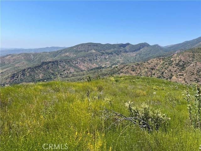 10 Williams Canyon,  Silverado Canyon,  CA 92676