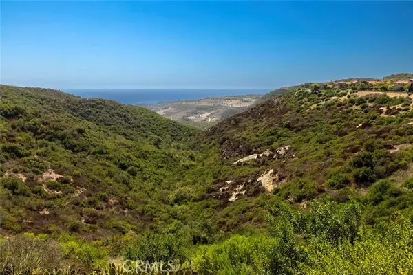 Newport Coast, CA 92657,8 Night Sky