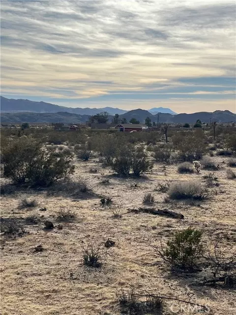 Joshua Tree, CA 92252,7 Bellflower