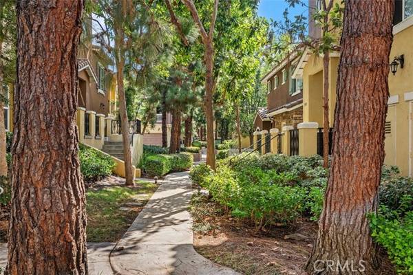 Irvine, CA 92620,2014 Timberwood