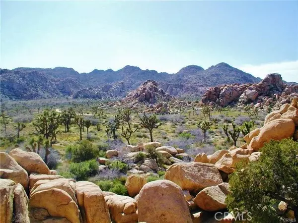 Joshua Tree, CA 92252,61936 El Reposo