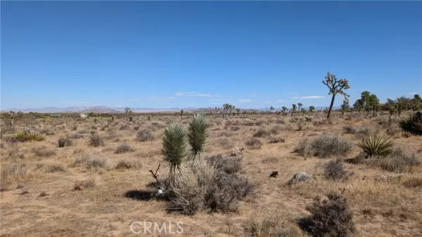 Yucca Valley, CA 92284,0 Aberdeen