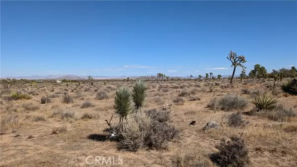 Yucca Valley, CA 92284,0 Aberdeen