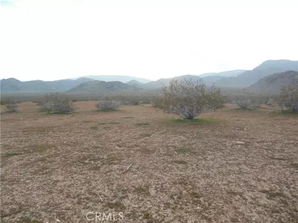 Lucerne Valley, CA 92356,1223 Lorraine@Larjoe