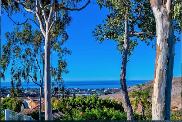 San Clemente, CA 92672,642 Via Umbroso