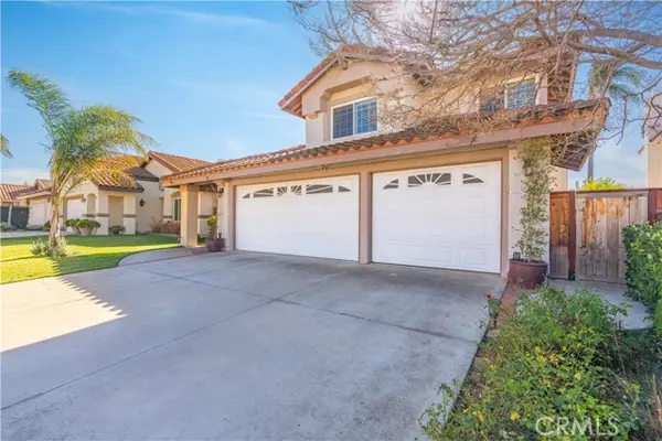 Rancho Santa Margarita, CA 92688,16 Sarracenia