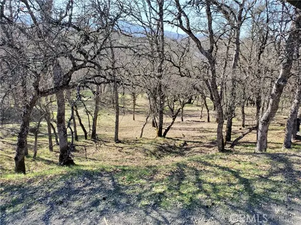 19325 Deer Hill, Hidden Valley Lake, CA 95467