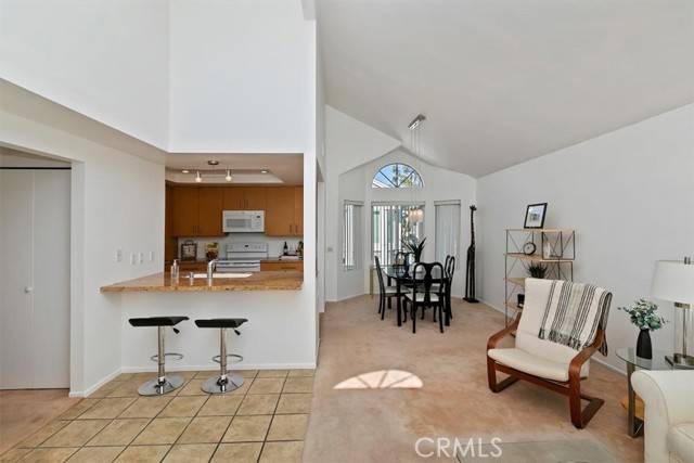 Irvine, CA 92620,103 Remington #324