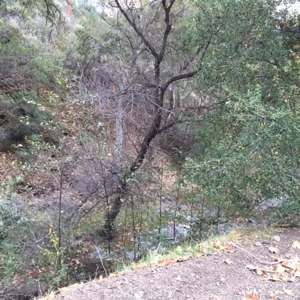 0 Silverado Canyon, Silverado Canyon, CA 92676